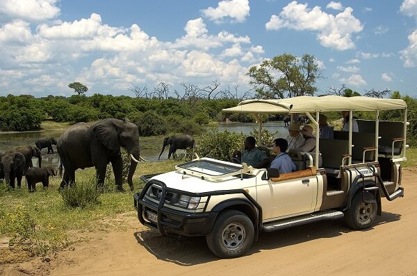 guests-watching-elephants-from-game-drive-chobe-day-trip-botswana