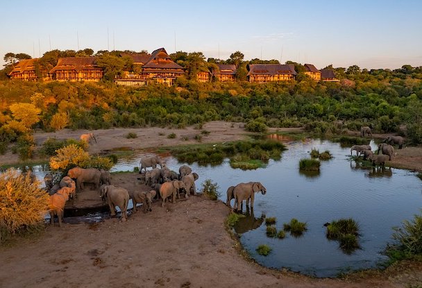 Victoria-Falls-Safari-Lodge-Watering-Hole